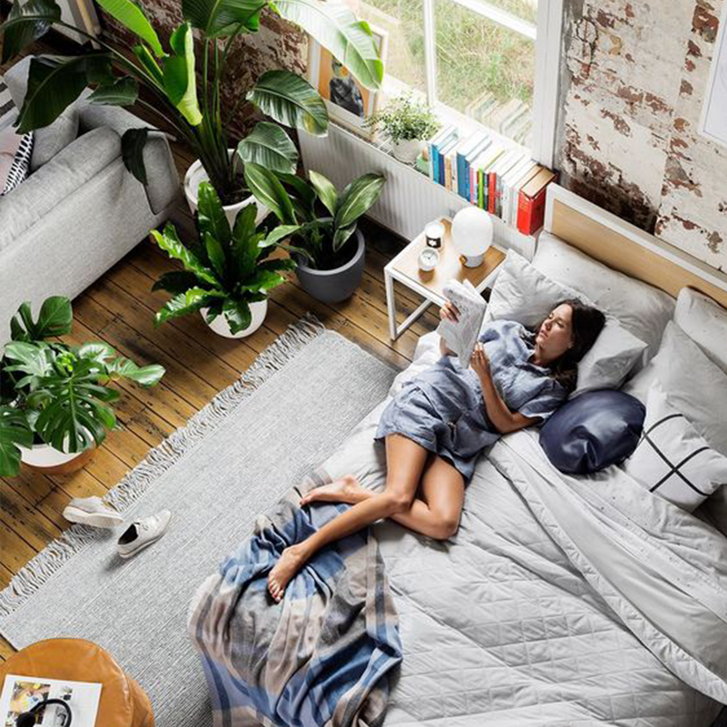 Mushmore y el Manejo del Estrés