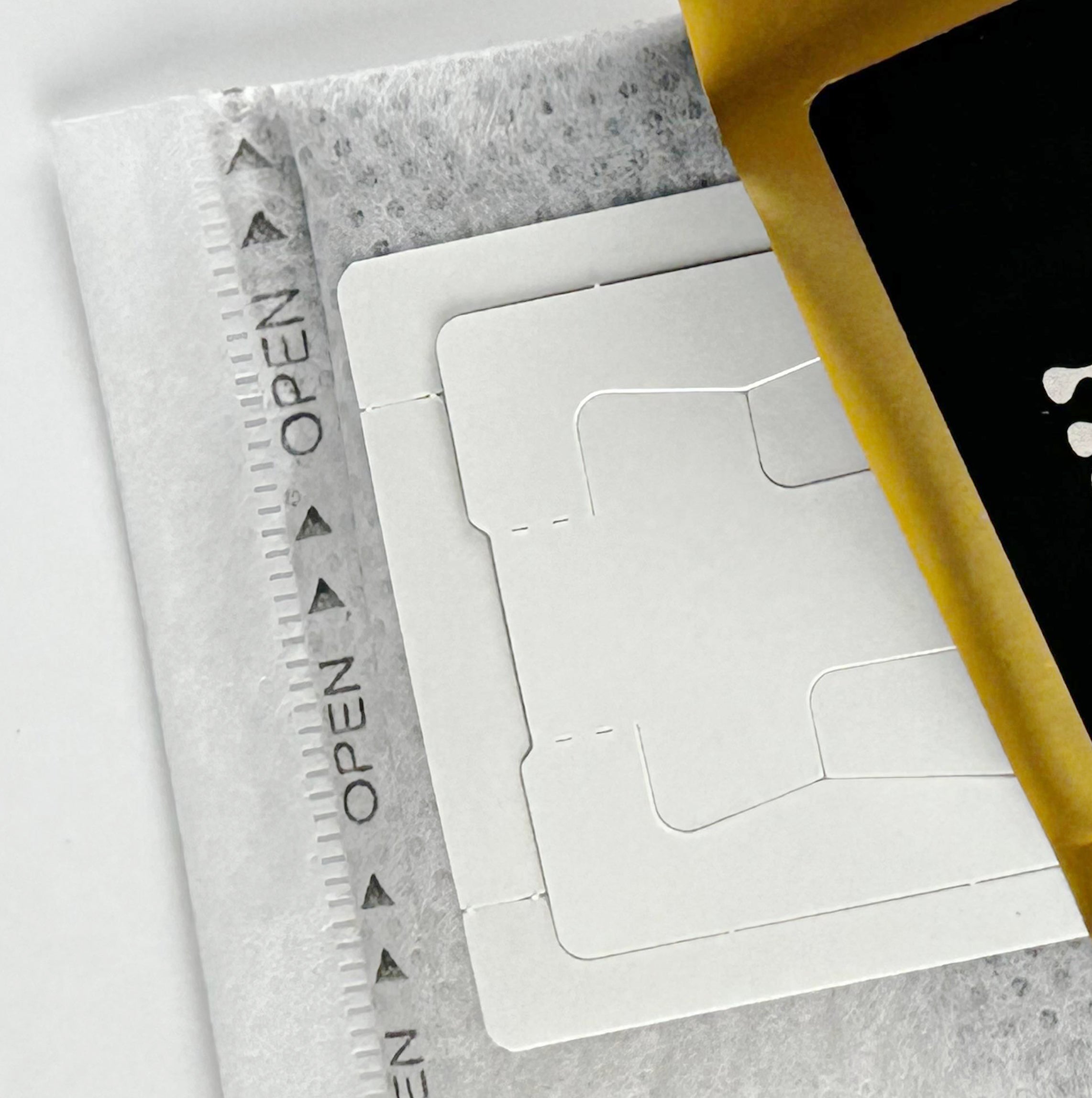 Pack Than Drip - 10 Brain Storm + Totebag Mushmore