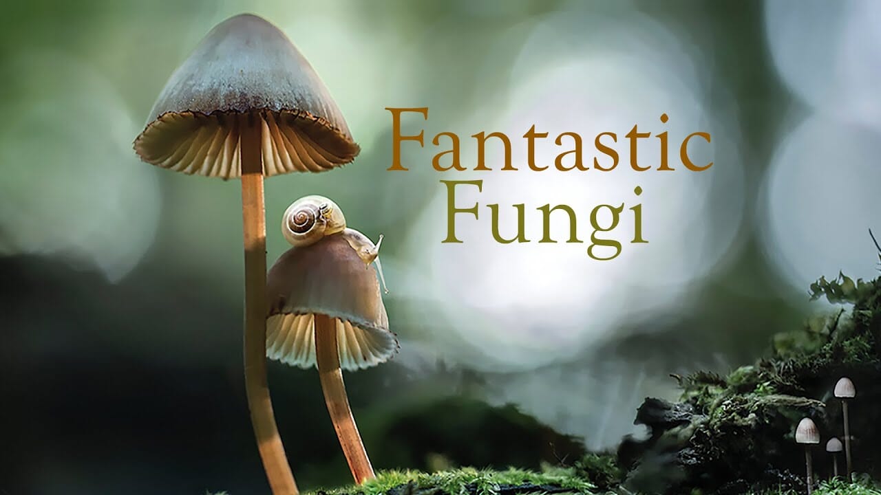 Documental SUPER recomendado