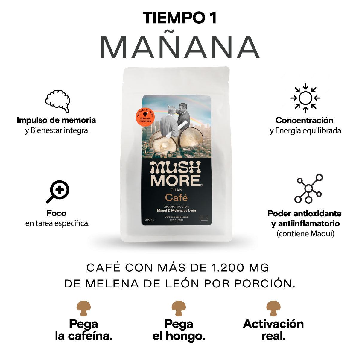 Sistema FOCO en 2 tiempos