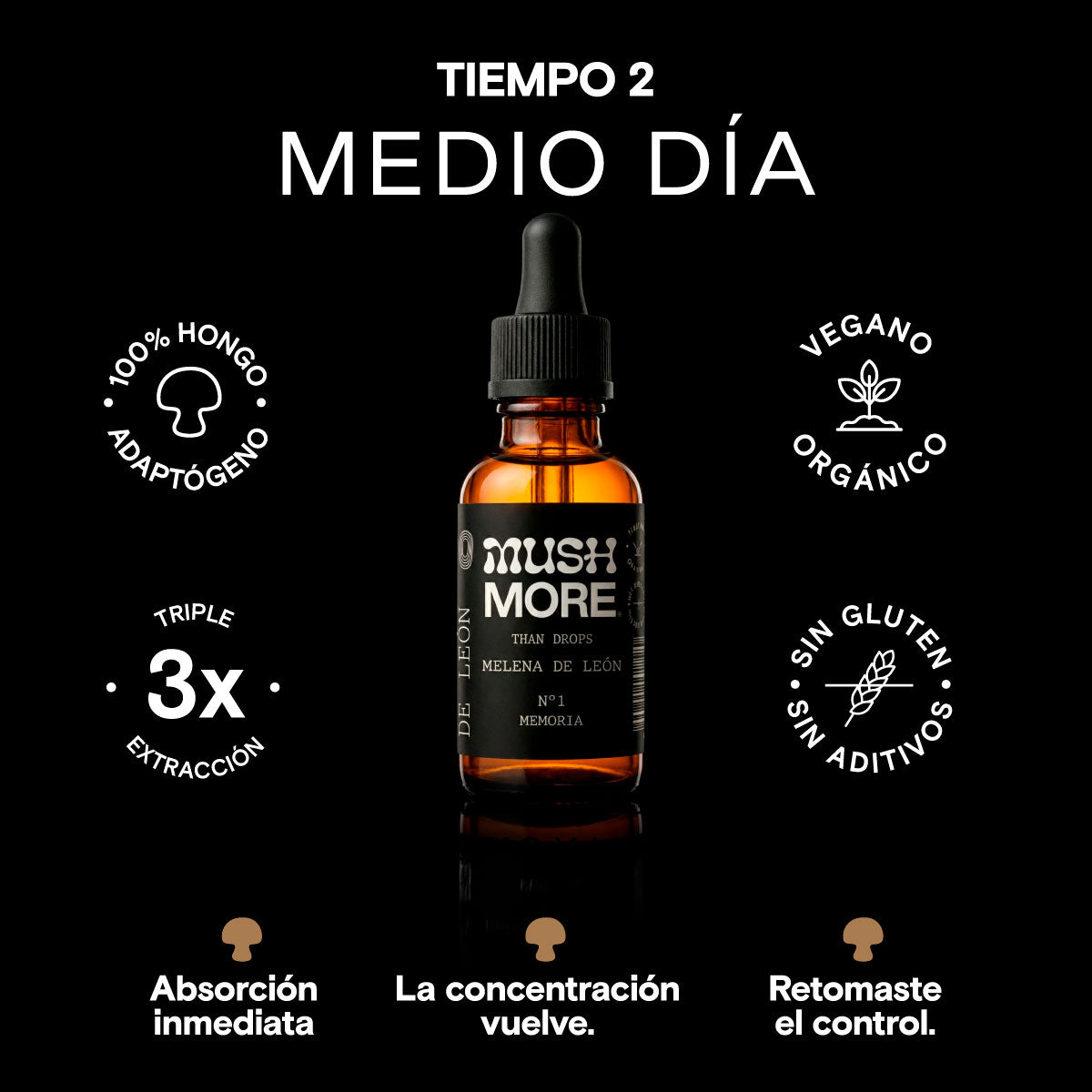 Sistema FOCO en 2 tiempos