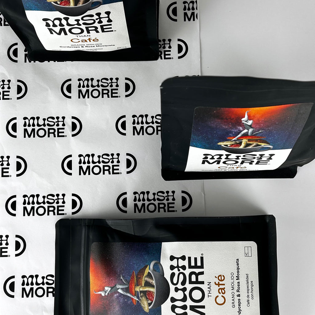 PACK  BLACK - Vista 8