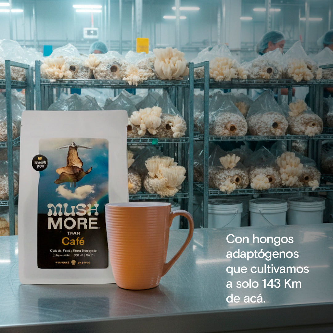 CAFÉ IMMUNITY - Cola de Pavo