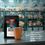 CAFÉ ENERGY - Cordyceps