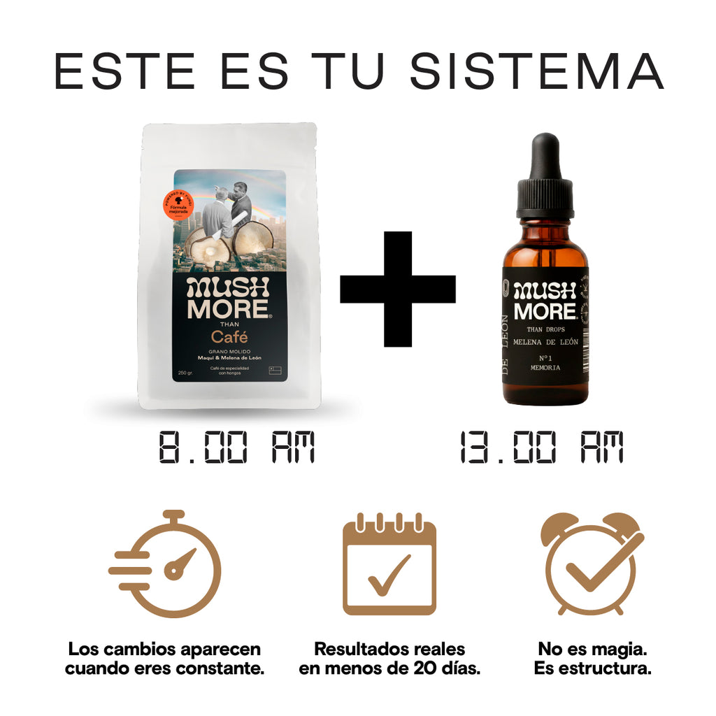 Sistema Concentración en 2 tiempos - Vista 1