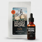 Sistema FOCO en 2 tiempos